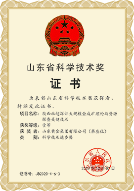 山東省科學(xué)技術(shù)獎(jiǎng)